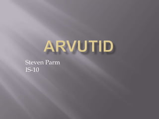 Arvutid Steven ParmIS-10 