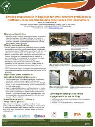 Ensiling crop residues in bag silos for small ruminant production in
Northern Ghana: On-farm training experiences with local farmers
Addah, W.1, and Ayantunde, A2.
1Department of Animal Science, University for development studies, P. O. Box TL 1882, Tamale
2International Livestock Research Institute, Burkina Faso, BP 9478, Ouagadougou
Corresponding author email: addweseh@yahoo.com
Key research activities
o About 130 farmers in 9 Africa RISING communities in the Northern,
Upper East and Upper West regions of Ghana were trained on
innovative methods of ensiling groundnut haulms. Trainings were
conducted in the form of on-farm demonstrations and included
about 9 women in each community.
Results and main findings
o The only method of crop residues preservation previously known &
practiced by farmers in Northern Ghana was drying. This method is
associated with greater leaf & nutrient losses (Fig. 1 & 2) & does not
allow farmers to conserve wet crop residues in the rain season.
o Farmers' understanding of the biochemistry of conserving wet crop
residues by ensiling was made easier by making analogies to
preserving food by fermentation, e.g. fermentation of corn dough
renders it acidic & thereby preserve it; so is silage.
o Ensiling reduced leaf losses & nutrient leaching caused by
unexpected early or late rainfall (Fig. 3-6). It made it possible for
farmers to conserve wet crop residues generated in the rainy
season.
o A total of about 130 farmers including 9 women were taken through
demonstrations on methods of conserving wet crop residues such as
groundnut.
o The technology is quite simple & easily adaptable; some farmers
were already practicing without any technical supervision.
o Moisture enhances deterioration of crop residues during drying &
storage. All crop residues whose storage is constrained by moisture
(57 -70%) can be ensiled.
o Silage is a quality feed for fattening small ruminants during the dry
season. There is also a vibrant market for crop residues in Northern
Ghana. Surplus silages could be sold for income. Small ruminants
represent a significant cash reserve & the fattening & sale of small
ruminants provides income that is very useful in alleviating food
insecurity in Northern Ghana.
Observations from the current study (phase I) indicated lower
preference & intake of fresh groundnut haulm (Fig. 6). However intake
& growth performance of sheep fed dried or ensiled haulms has not
been tested hence the need for the proposed growth performance
study in phase II.
How this work would continue in
Africa RISING phase 2
The Africa Research In Sustainable Intensification for the Next Generation (Africa RISING) program comprises three research-for-
development projects supported by the United States Agency for International Development as part of the U.S. government’s Feed the
Future initiative.
Through action research & development partnerships, Africa RISING will create opportunities for smallholder farm households to move out of
hunger & poverty through sustainably intensified farming systems that improve food, nutrition, & income security, particularly for women &
children, & conserve or enhance the natural resource base.
The three projects are led by the International Institute of Tropical Agriculture (in West Africa & East & Southern Africa) & the
International Livestock Research Institute (in the Ethiopian Highl&s). The International Food Policy Research Institute leads an
associated project on monitoring, evaluation & impact assessment.
www.africa-rising.net
o Small ruminant farmers and urban livestock traders associations.
o Groundnut farmers.
o Traders in crop residues within the 3 Northern regions.
Current partnerships and future
engagements for out scaling
Fig. 1: Drying & storage groundnut
haulms: farmer practice
Fig. 2: Leaf losses associated drying &
storage groundnut haulms: farmer
practice Note: Leaves contain more
nutrients than stems
Fig. 3: Harvesting the nuts & chopping the
haulms for ensiling: innovation introduced
by Africa RISING
Fig. 4: Rubber-lined silo bags for ensiling
chopped groundnut haulms: innovation
introduced by Africa RISING
Fig. 5: Rubber-lined silo bags for storing
chopped groundnut haulms: innovation
introduced by Africa RISING
Fig. 6: Lower intake of fresh haulms.
Intake of ensiled vs dry haulms has not been
tested: phase II
Implications of the research for
generating development outcomes
 