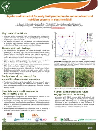 Jujube and tamarind for early fruit production to enhance food and
nutrition security in southern Mali
Ky-Dembele C.1, Samaké O.1, Koné B.1, Traoré FT.1, Diakité A. 1, Binam J.1, Doumbia M.1, Kalinganire A.1
1I1World Agroforestry Centre – West Africa and Central Regional Office - Sahel Node – BP E5118 Bamako, Mali
Corresponding author email: C.Dembele@cgiar.org
Key research activities
o Undertake at the grassroots level, participatory action research on
superior accessions and grafting of four priority tree species including
baobab, jujube, tamarind and shea.
o Test, evaluate and validate fruit and vegetable tree garden establishment
at household level, to address especially children and pregnant women
needs in terms of dietary, micronutrient and vitamin intakes.
Implications of the research for
generating development outcomes
Results and main findings
o Strengthening the scaling up/out the promising results obtained on fruit
production from the improved indigenous tree plants.
o Fostering the partnership and networking with local, development and
community-based organizations to promote fruit consumption and the
adoption of household fruit and vegetable tree small gardens innovations
in the Sikasso region in Mali.
o Addressing food deficiency and child malnutrition issues by promoting a
better use of underutilized indigenous tree species in Sikasso region.
How this work would continue in
Africa RISING phase 2
The Africa Research In Sustainable Intensification for the Next Generation (Africa RISING) program comprises three research-for-
development projects supported by the United States Agency for International Development as part of the U.S. government’s Feed the
Future initiative.
Through action research and development partnerships, Africa RISING will create opportunities for smallholder farm households to move out
of hunger and poverty through sustainably intensified farming systems that improve food, nutrition, and income security, particularly for
women and children, and conserve or enhance the natural resource base.
The three projects are led by the International Institute of Tropical Agriculture (in West Africa and East and Southern Africa) and the
International Livestock Research Institute (in the Ethiopian Highlands). The International Food Policy Research Institute leads an
associated project on monitoring, evaluation and impact assessment.
www.africa-rising.net
Partnerships with CGIAR centers, NARs and national and
international NGOs are integral to providing the best targeted
opportunities for the scaling up/out of promising agroforestry
technologies in Mali. The importance of these partnerships is
reflected in the bilateral projects that ICRAF is leading including
SmAT-Scaling, BRAS-PAR, CASCAID, GCC, DRYDEV, etc.
July August September October November December
0
20
40
60
80
100
120
July August September October November December
0
20
40
60
80
100
120
Percentageofplants
Month
AD-Nonokene
TI-Grosfruit
TI-Niger309
TI-Sucre
VP-Samankoka
ZM-3A
ZM-BenGurion
ZM-Gola
ZM-ICRAF06
ZM-ICRAF08
ZM-Kaithely
ZM-Umran
a
Month
b
o The promoted fruit and vegetable tree garden technologies can be used
to address the prevailing micro-nutrient deficiencies known as hidden
hunger. Within 6 months after planting many superior accessions of
indigenous trees are able to produce fruits which are easily available
source of nutrients and vitamins, often lacking in staple foods.
o Jujube accessions are growing faster than accessions of other species.
They are the most efficient in fruiting as shown on the figure.
o Niger 309 is the most successful out of the three tamarind accessions.
Most plants have fruited two years after planting.
o Nononkene, a superior accession of baobab , had the highest survival rate
(100%) and greatest collar diameter whereas its canopy width is similar to
that of Samankoka shea accession. Baobab and shea grafts have not yet
fruited two years after planting.
Figures a & b: Percentage of plants with no fruits (a) and at the peak of fruiting (b)
from July to December 2015 for 12 superior accessions of four fruit tree species
Adansonia digitata (AD), Tamarindus indica (TI), Vitellaria paradoxa (VP) and
Ziziphus mauritiana (ZM) planted in 2013
Pictures of two-year flowering tamarind and fruiting jujube trees
Current partnerships and future
engagements for out scaling
o The adoption of fruit tree gardens would allow farmers, especially women
who are currently managing the established fruit gardens, to have a
micro-nutrient and vitamin rich sources to enhance household nutrition
and their income.
 