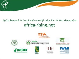 Africa RISING update on Ghana in 2012 and plans for 2013