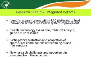 Africa RISING update on Ghana in 2012 and plans for 2013