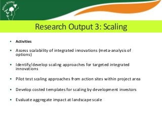 Africa RISING update on Ghana in 2012 and plans for 2013