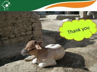 Africa RISING update on Ghana in 2012 and plans for 2013