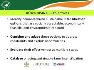 Africa RISING update on Ghana in 2012 and plans for 2013