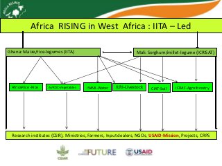 Africa RISING update on Ghana in 2012 and plans for 2013