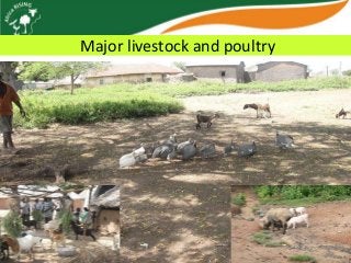 Africa RISING update on Ghana in 2012 and plans for 2013