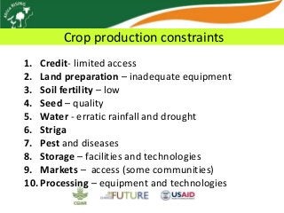 Africa RISING update on Ghana in 2012 and plans for 2013