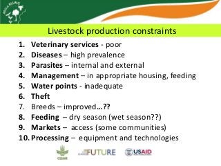 Africa RISING update on Ghana in 2012 and plans for 2013