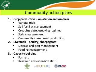 Africa RISING update on Ghana in 2012 and plans for 2013