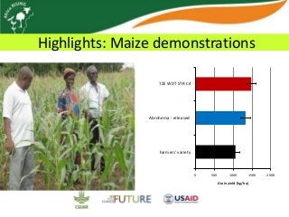 Africa RISING update on Ghana in 2012 and plans for 2013