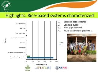 Africa RISING update on Ghana in 2012 and plans for 2013