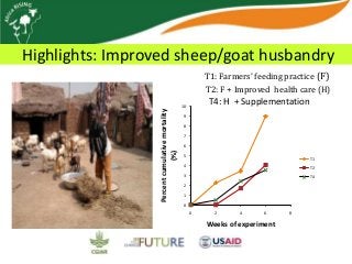 Africa RISING update on Ghana in 2012 and plans for 2013