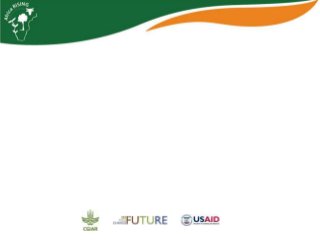 Africa RISING update on Ghana in 2012 and plans for 2013