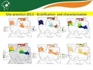 Africa RISING update on Ghana in 2012 and plans for 2013