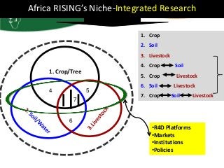 Africa RISING update on Ghana in 2012 and plans for 2013
