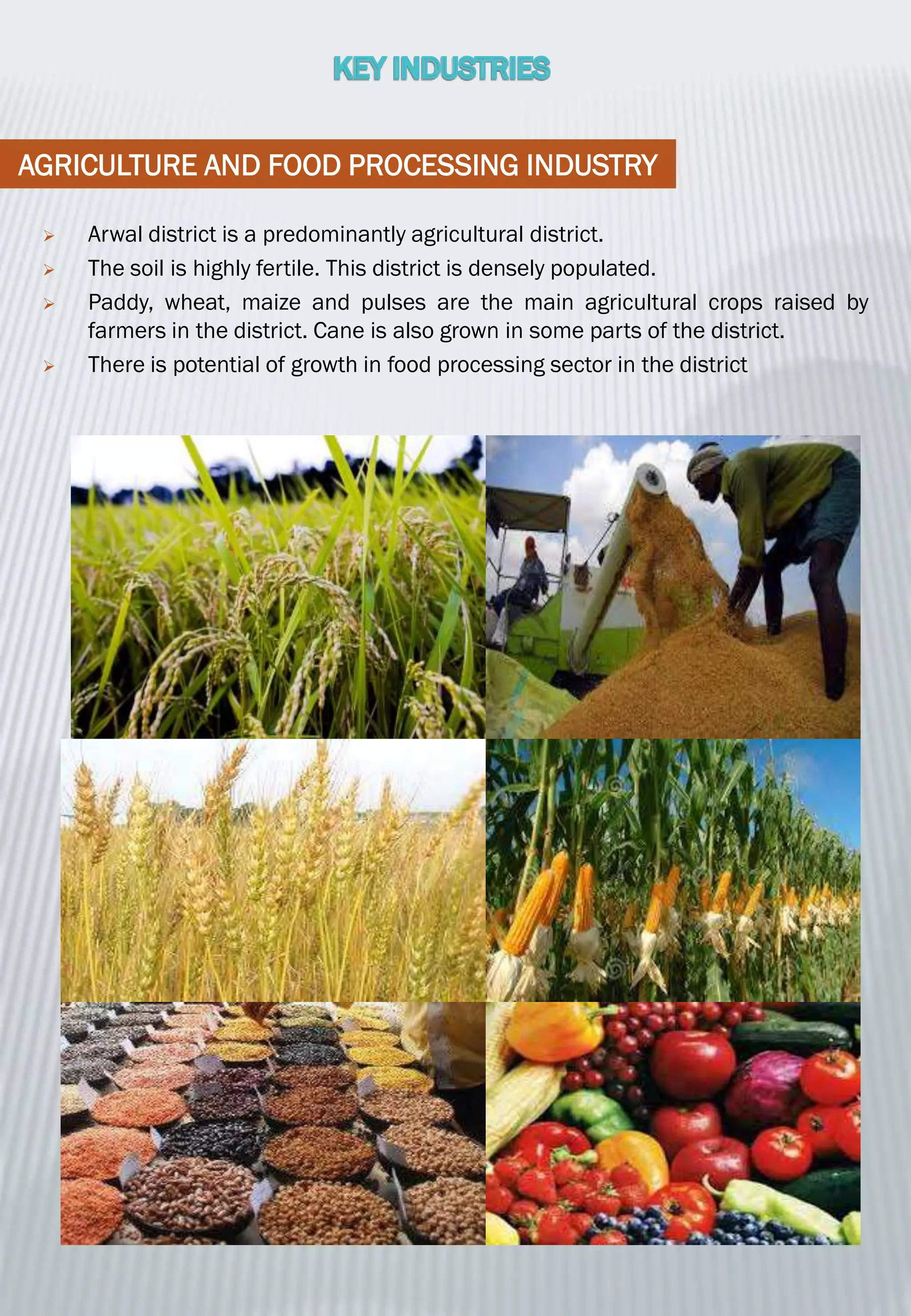 AGRICULTURE AND FOOD PROCESSING INDUSTRY
 Arwal district is a predominantly agricultural district.
 The soil is highly fertile. This district is densely populated.
 Paddy, wheat, maize and pulses are the main agricultural crops raised by
farmers in the district. Cane is also grown in some parts of the district.
 There is potential of growth in food processing sector in the district
 