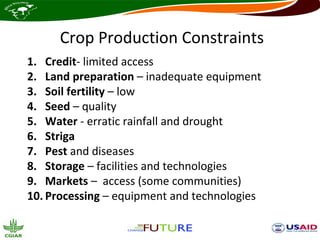 Crop Production Constraints
1. Credit- limited access
2. Land preparation – inadequate equipment
3. Soil fertility – low
4. Seed – quality
5. Water - erratic rainfall and drought
6. Striga
7. Pest and diseases
8. Storage – facilities and technologies
9. Markets – access (some communities)
10. Processing – equipment and technologies
 