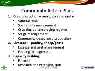 Community Action Plans
1. Crop production – on-station and on-farm
   • Varietal trials
   • Soil fertility management
   • Cropping dates/spraying regimes
   • Striga management
   • Community-based seed production
2. Livestock – poultry, sheep/goats
   • Disease and pest management
   • Feeding management
3. Capacity building
   • Farmers
   • Research and extension staff
 