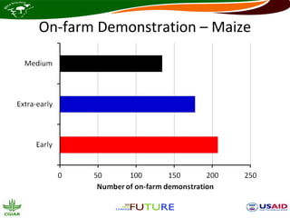 On-farm Demonstration – Maize
 