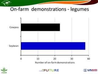 On-farm demonstrations - legumes
 