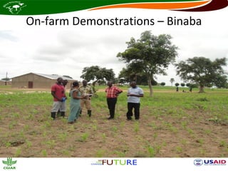 On-farm Demonstrations – Binaba
 