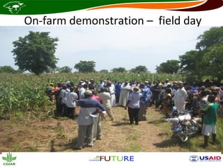 On-farm demonstration – field day
 