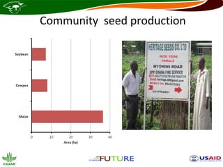 Community seed production
 
