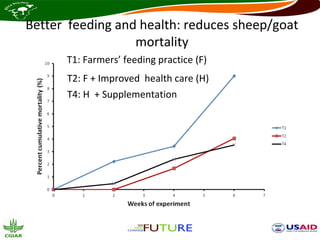 Better feeding and health: reduces sheep/goat
                  mortality
      T1: Farmers’ feeding practice (F)
      T2: F + Improved health care (H)
      T4: H + Supplementation
 