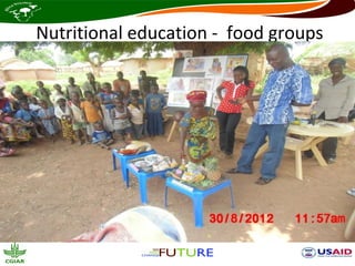 Nutritional education - food groups
 