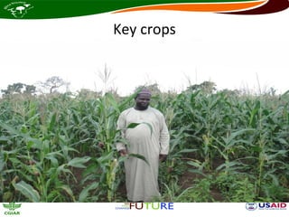 Key crops
 