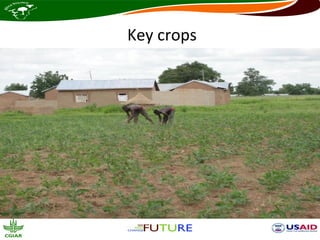 Key crops
 