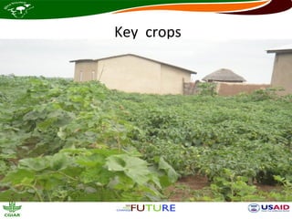 Key crops
 
