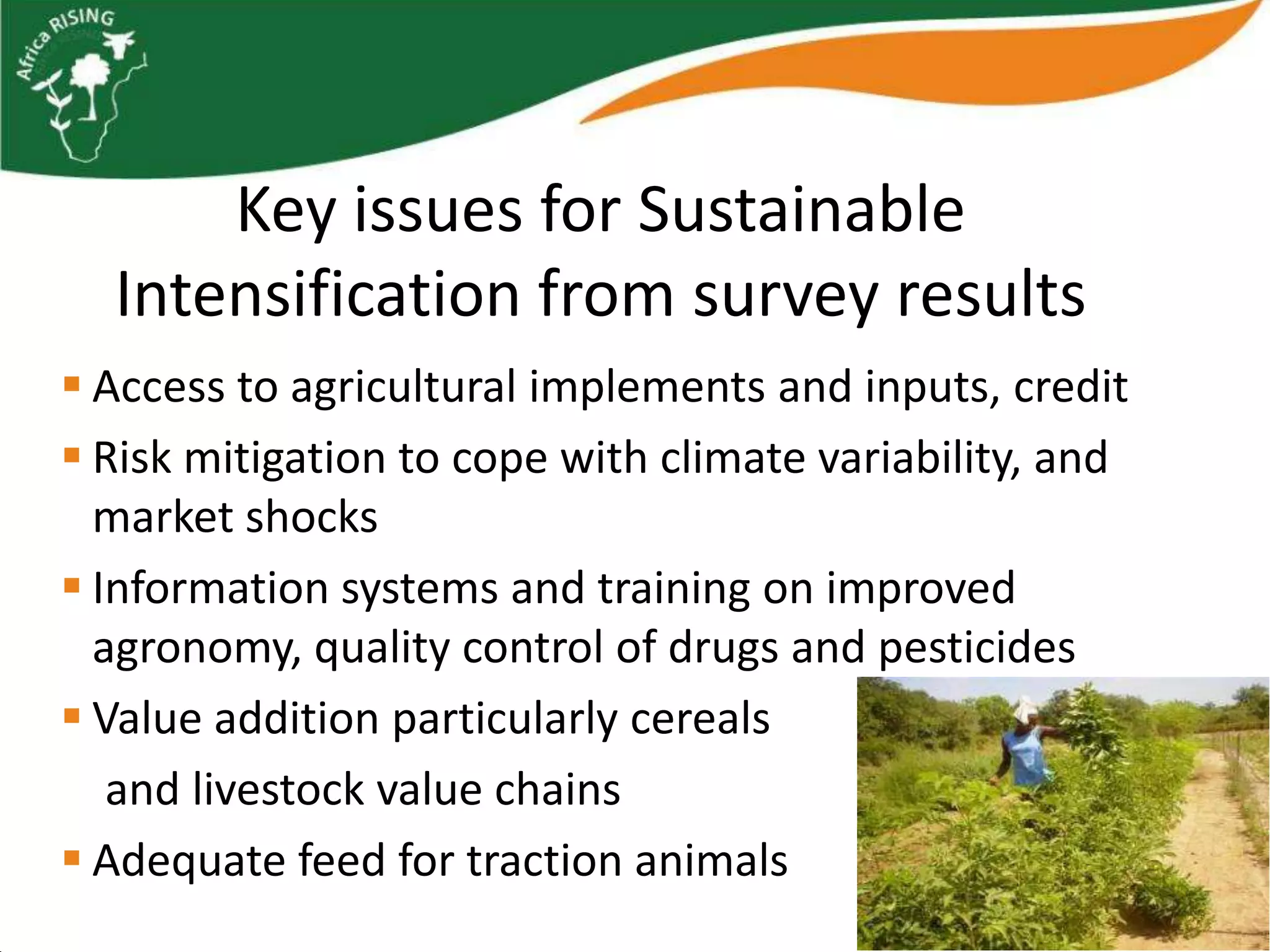 Key issues for Sustainable
  Intensification from survey results
 Access to agricultural implements and inputs, credit
 Risk mitigation to cope with climate variability, and
  market shocks
 Information systems and training on improved
  agronomy, quality control of drugs and pesticides
 Value addition particularly cereals
   and livestock value chains
 Adequate feed for traction animals
 