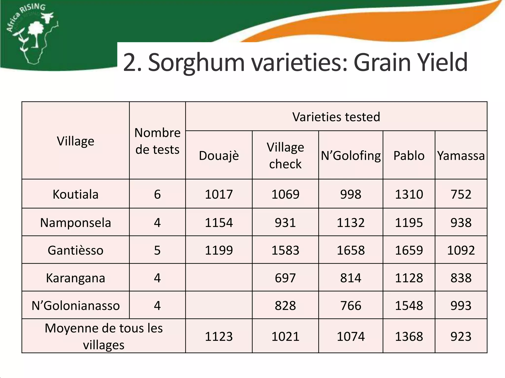 2. Sorghum varieties: Grain Yield
                                          Varieties tested
                  Nombre
    Village                           Village
                  de tests   Douajè             N’Golofing Pablo Yamassa
                                      check

   Koutiala          6       1017     1069        998        1310   752

 Namponsela          4       1154      931        1132       1195   938
  Gantièsso          5       1199     1583        1658       1659   1092
  Karangana          4                 697        814        1128   838
N’Golonianasso       4                 828        766        1548   993
  Moyenne de tous les
                             1123     1021        1074       1368   923
       villages
 