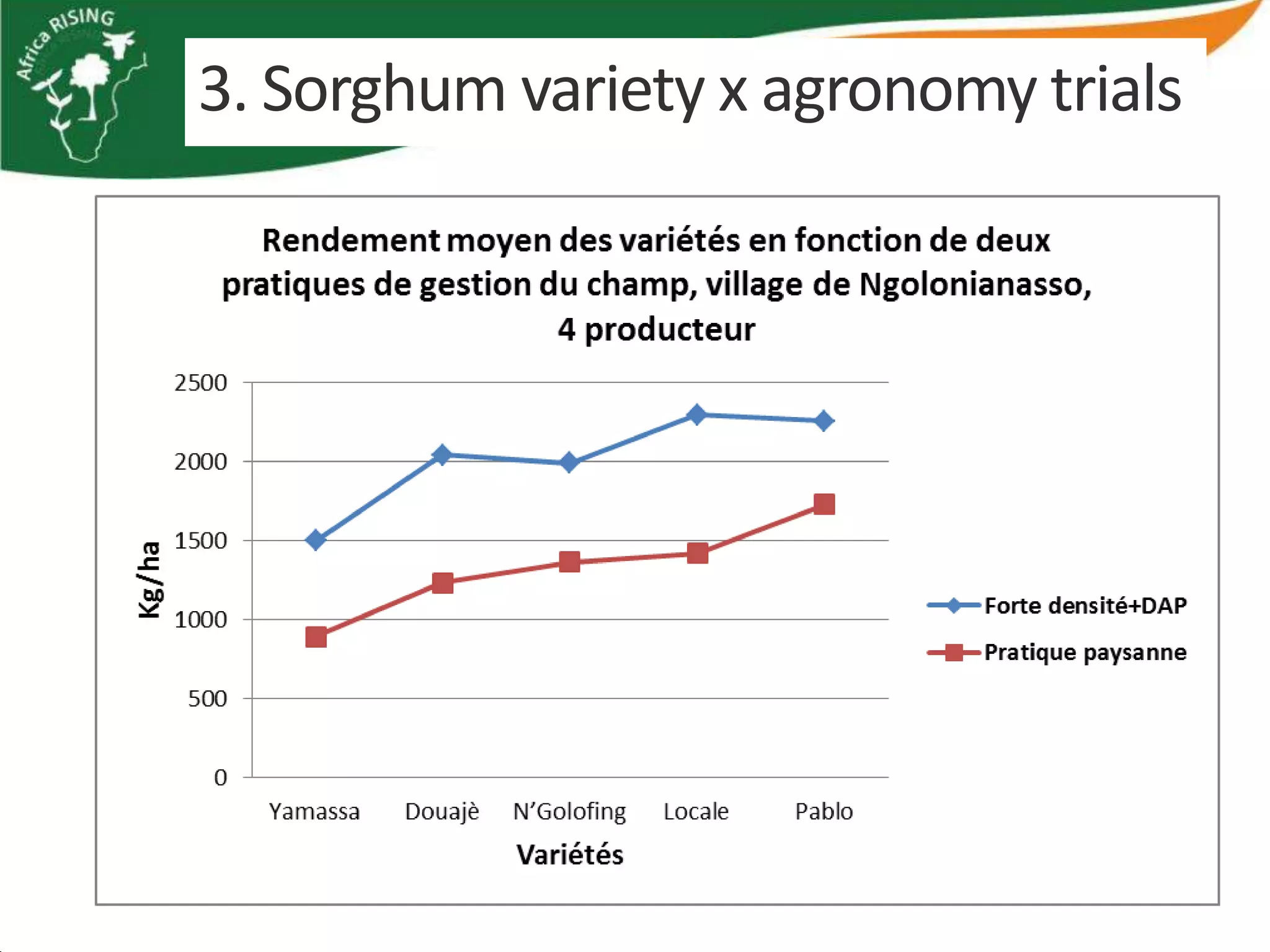 3. Sorghum variety x agronomy trials
 