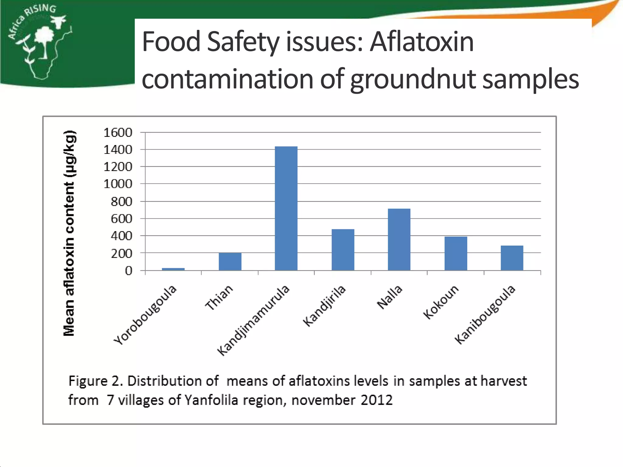 Food Safety issues: Aflatoxin
contamination of groundnut samples
 