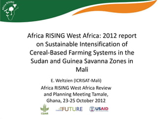 Africa RISING West Africa: 2012 report
   on Sustainable Intensification of
 Cereal-Based Farming Systems in the
 Sudan and Guinea Savanna Zones in
                Mali
        E. Weltzien (ICRISAT-Mali)
    Africa RISING West Africa Review
     and Planning Meeting Tamale,
       Ghana, 23-25 October 2012
 
