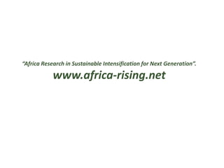 “Africa Research in Sustainable Intensification for Next Generation”.
www.africa-rising.net
 