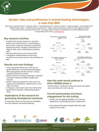 Gender roles and preferences in animal feeding technologies:
a case from Mali
Sapna Jarial1a, Gundula Fischer2a, I.Hoeschle-Zeldon 2a , Hamidou Nantoumé 2b, Birhanu Zemadim 1b, Bogouna Soguba 3, and Ramadjita Tabo 1b
1a ICRISAT Niamey, Niger, 1b ICRISAT Samanko, Bamako, Mali, 2a Ibadan, Nigeria International Institute of Tropical Agriculture (IITA),
2b Institut d'Economie Rurale (IER), Sotuba, Mali, 3 Association Malienne d’Eveil au Développement Durable (AMEDD), Koutiala
Corresponding author email: s.jarial@cgiar.org
Gender analysis is required on cotton, groundnut and cowpea
value chain links with small ruminants.
How this work would continue in
Africa RISING phase 2
The Africa Research In Sustainable Intensification for the Next Generation (Africa RISING) program comprises three research-for-
development projects supported by the United States Agency for International Development as part of the U.S. government’s Feed the
Future initiative.
Through action research and development partnerships, Africa RISING will create opportunities for smallholder farm households to move out
of hunger and poverty through sustainably intensified farming systems that improve food, nutrition, and income security, particularly for
women and children, and conserve or enhance the natural resource base.
The three projects are led by the International Institute of Tropical Agriculture (in West Africa and East and Southern Africa) and the
International Livestock Research Institute (in the Ethiopian Highlands). The International Food Policy Research Institute leads an
associated project on monitoring, evaluation and impact assessment.
www.africa-rising.net
o ICRISAT, ILRI, IER, AMEDD, MOBIOM, IITA, 34 farmer
organisations and Mali Agri-business incubation hub.
o Out scaling of technology through publishing in high
impact journals, blogs.
Current partnerships and future
engagements for out scaling
Key research activities
o To address the research question on: was there
gender roles and preferences in animal feeding a
socio-cultural study was conducted in purposively
selected two districts Bougouni and Koutiala in six
village of Mali, using 23 participatory qualitative
tools.
o Data was collected from July to January 2016.
o Triangulation method between various tools,
secondary sources were used for cross verification of
data
Results and main findings
Implications of the research for
generating development outcomes
To reach better impact on feed resources availability
from the croplands and livestock fattening.
o There were gender differences in roles and no
gender differences in animal feeding technologies.
o Men played greater role than women in various
cropping and livestock activities.
o Women and men in Koutiala and Bougouni followed
a practice of cutting dry fodder through hache
manually.
o Gender preferred supplements were-maize and
sorghum brans followed by cowpea haulms, cotton
cakes, tree leaves.
o In Bougouni, maize stovers were most preferred by
gender while in Koutiala, it followed by sorghum
stover.
Seeds access
Labour
Sowing
Soil
improvement
Weeding
Harvesting
Selling
Men perception on gender role in crop
activities – FLOLA village
women men
Animal
purchasing
Shrub
collection
Complement
ary feed…
Animal
watering
Shelter
cleaning
Grazing
Selling
Animal
health
Men perception on gender role in
livestock activities by men –FLOLA village
women men
Animal
purchasing
Shrub
collection
Complement
ary feed…
Animal
watering
Shelter
cleaning
Grazing
Selling
Women perception on gender
role in livestock activities – Flola village
women
Seeds access
Labour
Sowing
Soil…Weeding
Harvesting
Selling
Women perception on gender role in crop
activities-Flola village
women
 