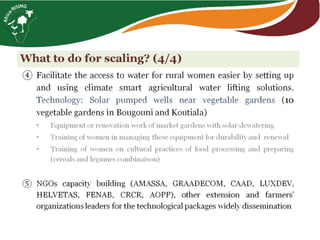 From hundreds to thousands of farmers for a sustainable intensification of key farming systems in southern Mali: Phase 2—Africa RISING Scaling Program