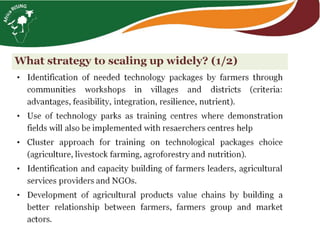 From hundreds to thousands of farmers for a sustainable intensification of key farming systems in southern Mali: Phase 2—Africa RISING Scaling Program