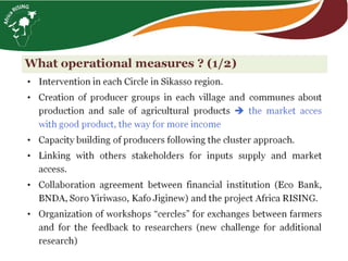 From hundreds to thousands of farmers for a sustainable intensification of key farming systems in southern Mali: Phase 2—Africa RISING Scaling Program