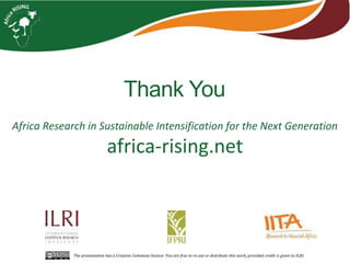 From hundreds to thousands of farmers for a sustainable intensification of key farming systems in southern Mali: Phase 2—Africa RISING Scaling Program