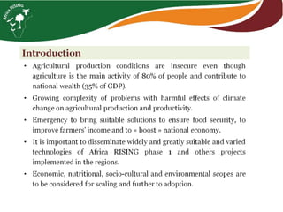 From hundreds to thousands of farmers for a sustainable intensification of key farming systems in southern Mali: Phase 2—Africa RISING Scaling Program