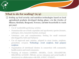 From hundreds to thousands of farmers for a sustainable intensification of key farming systems in southern Mali: Phase 2—Africa RISING Scaling Program