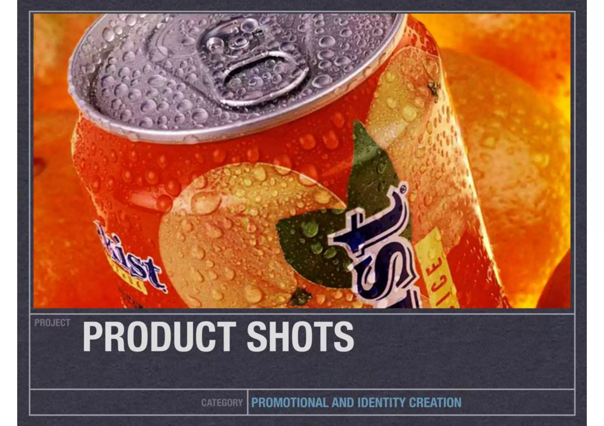 Ary sendy project excerpts2-updated jan 2015_