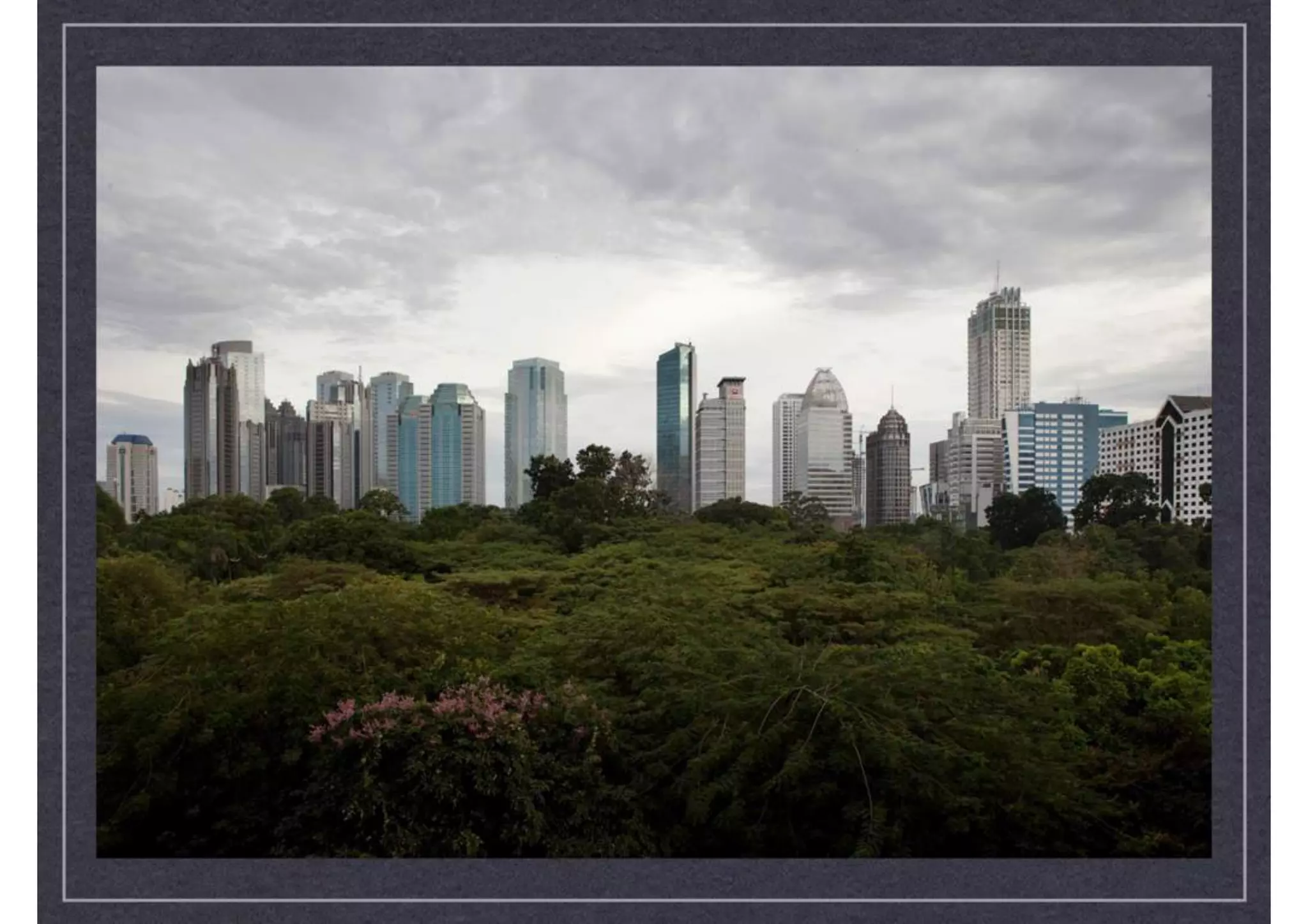 Ary sendy project excerpts2-updated jan 2015_