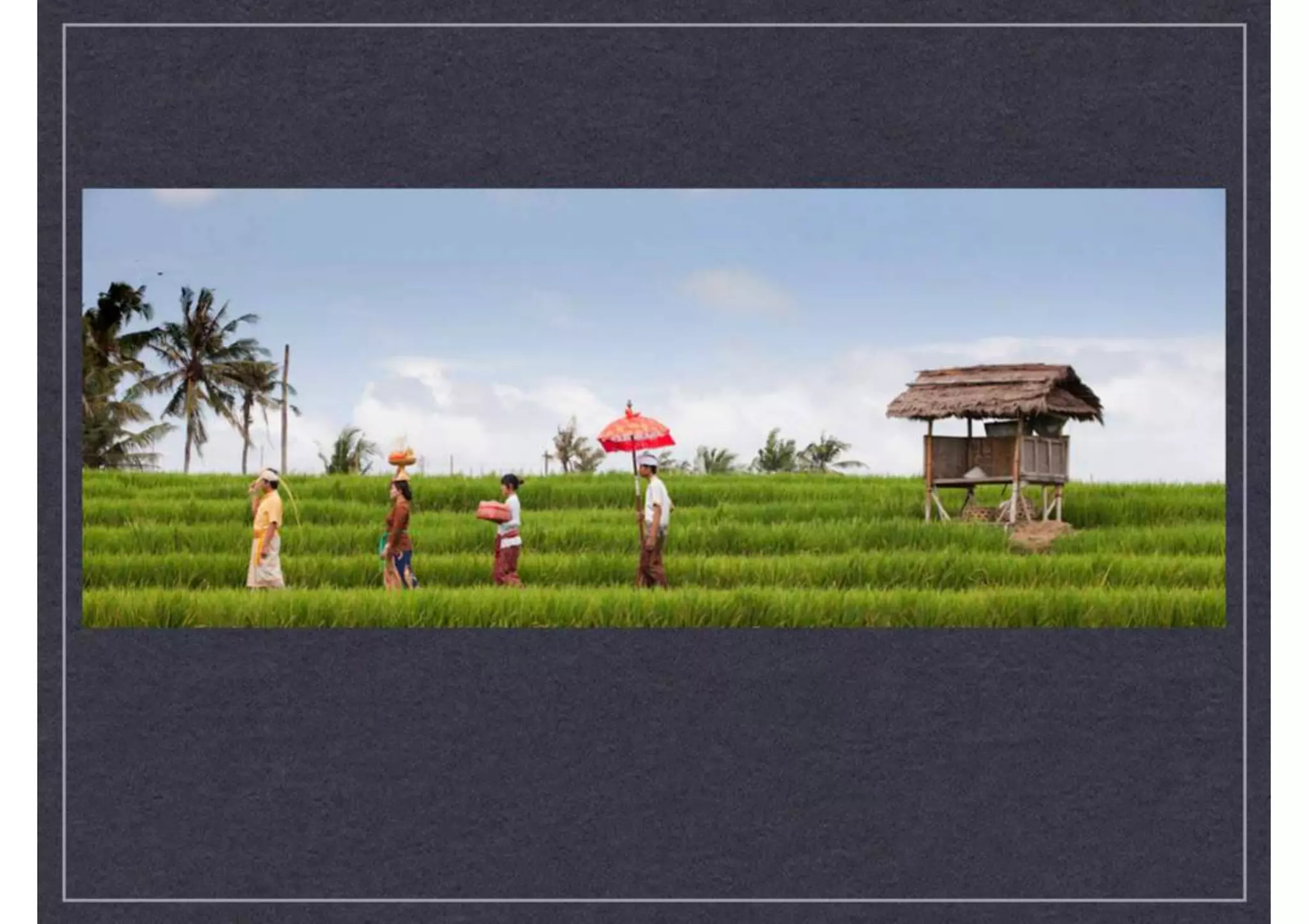 Ary sendy project excerpts2-updated jan 2015_