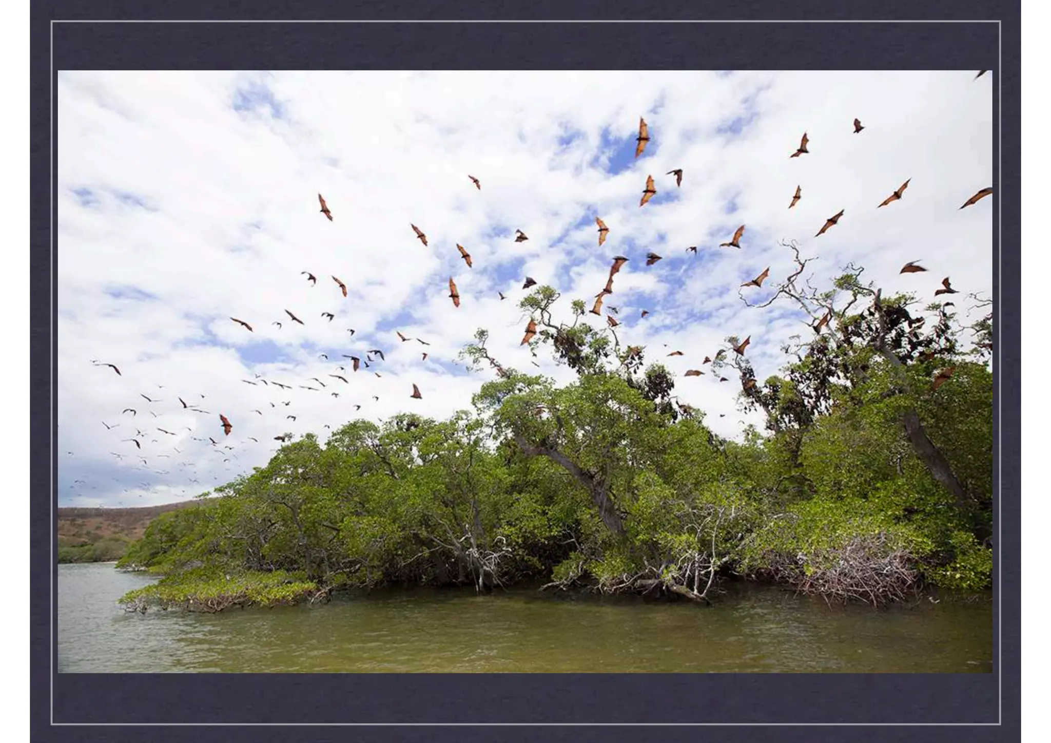 Ary sendy project excerpts2-updated jan 2015_