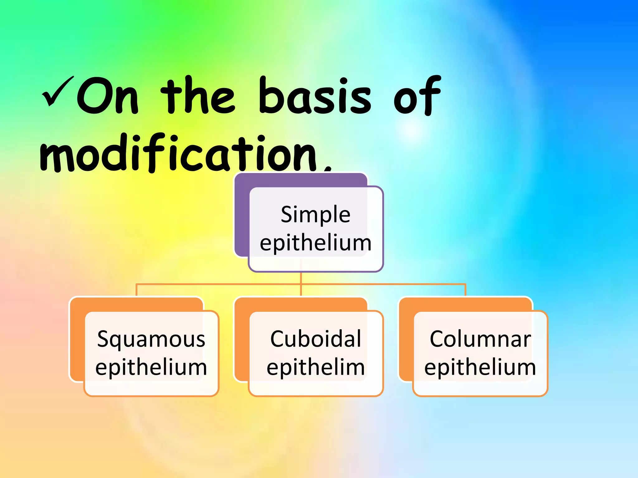 On the basis of
modification,
Simple
epithelium
Squamous
epithelium
Cuboidal
epithelim
Columnar
epithelium
 